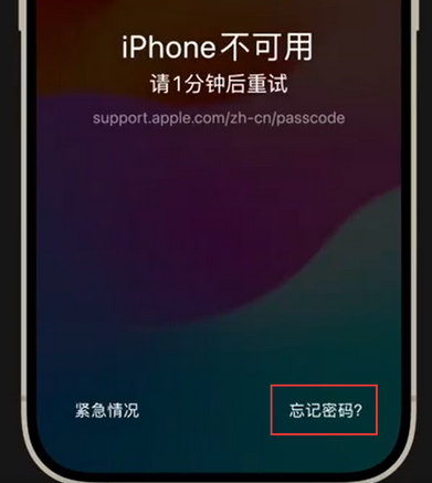 昌化镇苹果手机密码维修分享iPhone忘记了刚设置的密码 