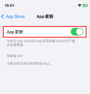 昌化镇苹果15维修中心如何让iPhone15APP自动更新