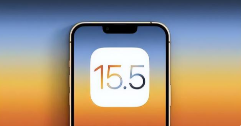 昌化镇苹果手机维修分享iOS15.5 RC版升级建议 