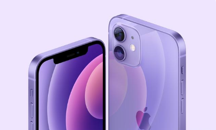 昌化镇苹果手机维修分享紫色版iPhone 12有什么技术亮点 