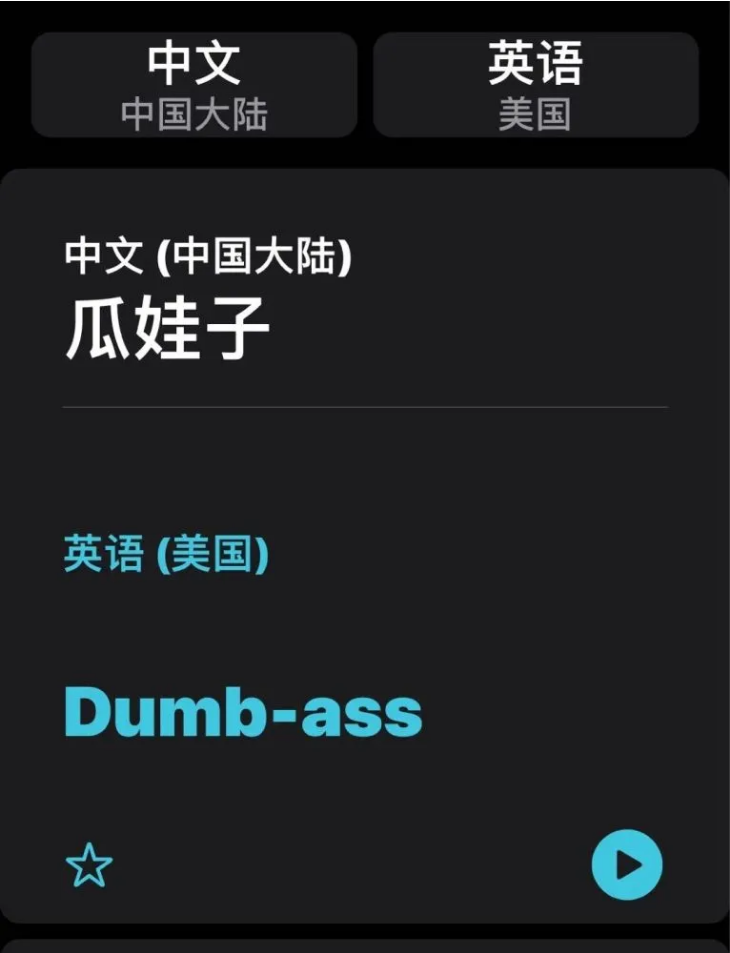 昌化镇苹果手机维修分享iOS14的“翻译太懂了”怎么用 
