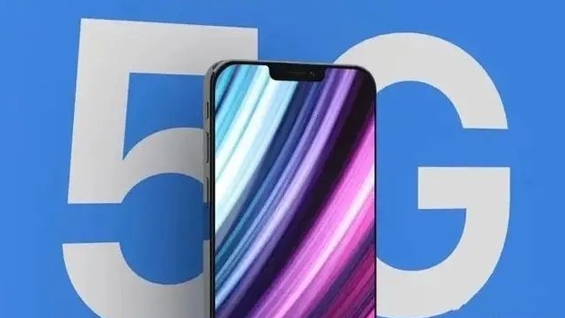 昌化镇苹果手机维修分享iPhone12 pro怎么显示5G 