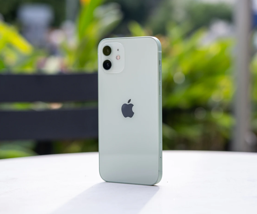 昌化镇苹果手机维修分享iPhone 12 不慎落入水中如何处理 
